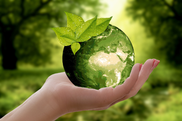 永續發展成為國際學生招募的新亮點